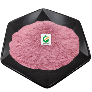 Poudre de fruits lyophilisée aux canneberges