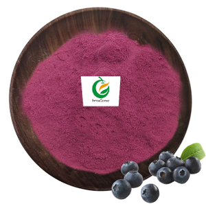 Poudre de fruit de myrtille 100 % naturelle