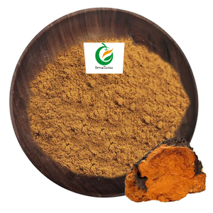 Chaga Polysaccharides 10%-50% Inonotus Obliquus Chaga extrait de champignon